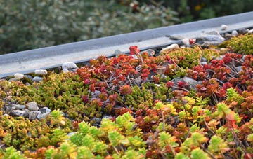 the cost of Camrose green roof installation