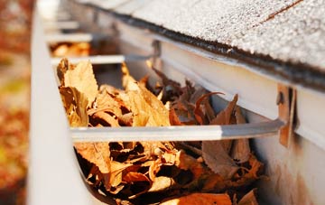 Camrose gutter cleaning companies