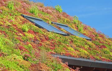 Camrose living roof systems
