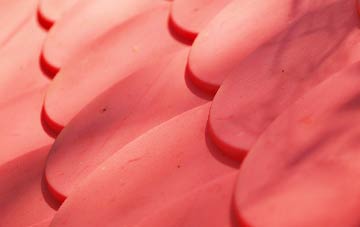 Camrose plastic roof costs