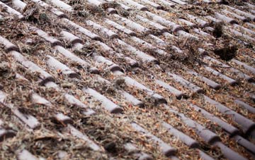 Camrose roof cleaning companies