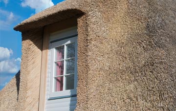 Camrose thatch roof disadvantages