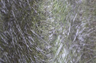 Camrose fibreglass roof work