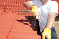 Camrose roof cleaners