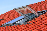Camrose roof window